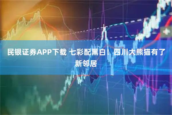 民银证券APP下载 七彩配黑白！四川大熊猫有了新邻居