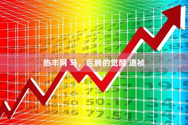 热丰网 马，后胯的觉醒 道祯